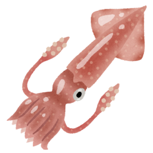 イカ イラスト