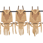 イカ数杯 イラスト